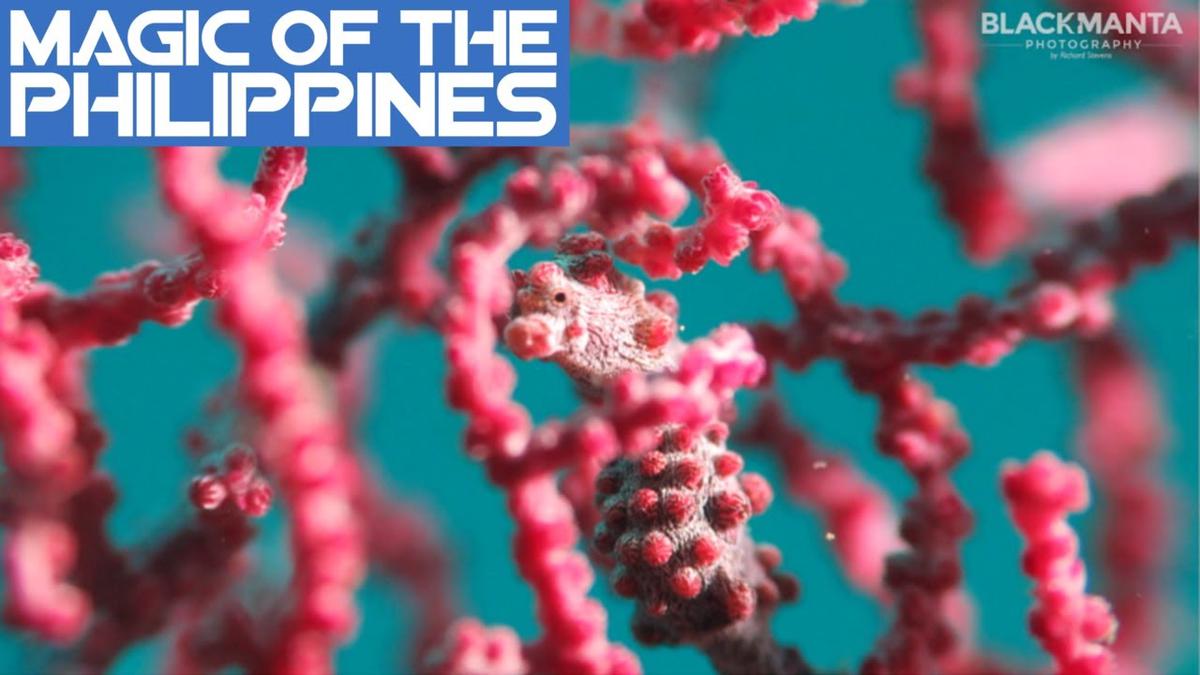 'Video thumbnail for Magic Ocean & Magic Islands Philippines Review'